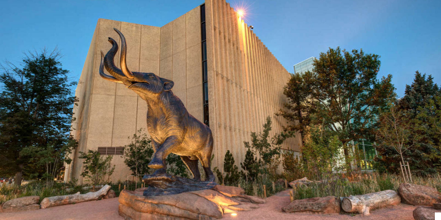 The Denver Museum of Nature & Science: Exploring Knowledge