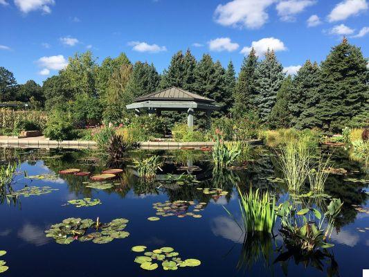 El Jardín Botánico de Denver: Naturaleza en el Corazón de la Ciudad