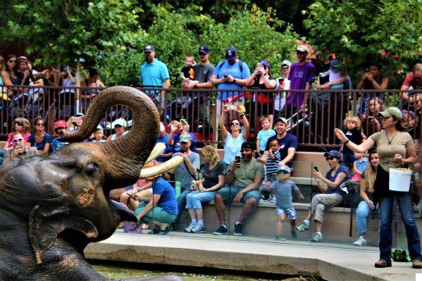 El Zoológico de Denver: Encuentros con la Fauna Mundial